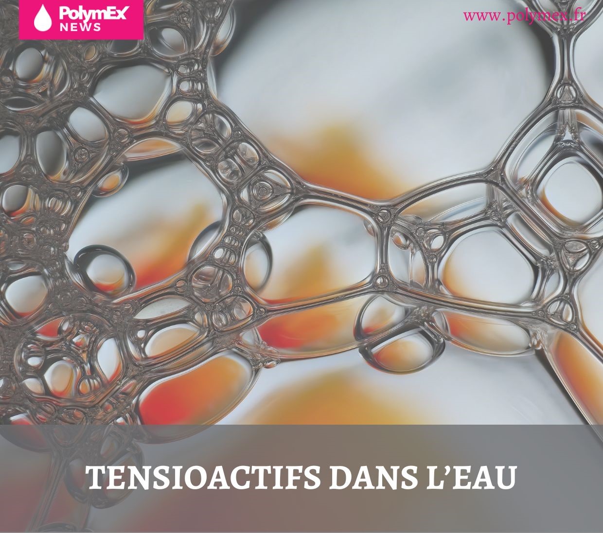 TENSIOACTIFS DANS L’EAU